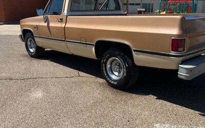 Chevrolet C10  1986