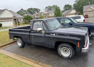 Chevrolet-C10-pickup-1978-grey