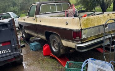 Chevrolet-C10-silverado-diesel-1979-brown-1