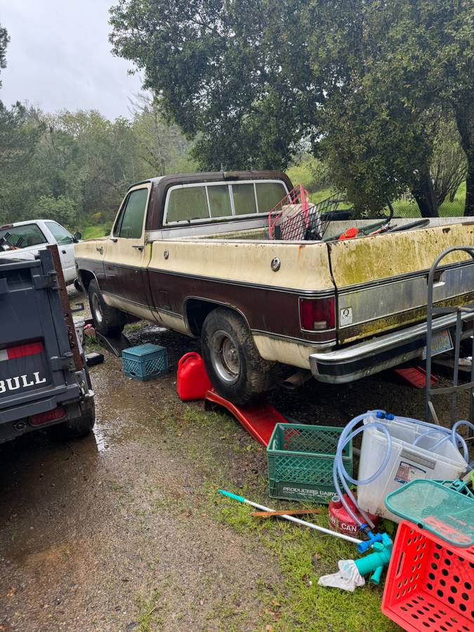 Chevrolet-C10-silverado-diesel-1979-brown-1