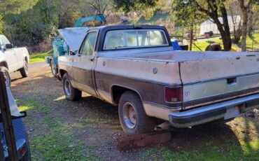 Chevrolet-C10-silverado-diesel-1979-brown-2