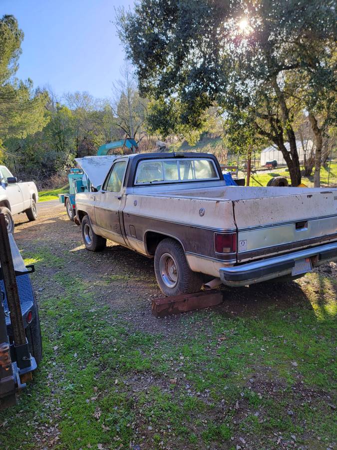 Chevrolet-C10-silverado-diesel-1979-brown-2