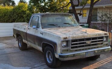 Chevrolet-C10-silverado-diesel-1979-brown