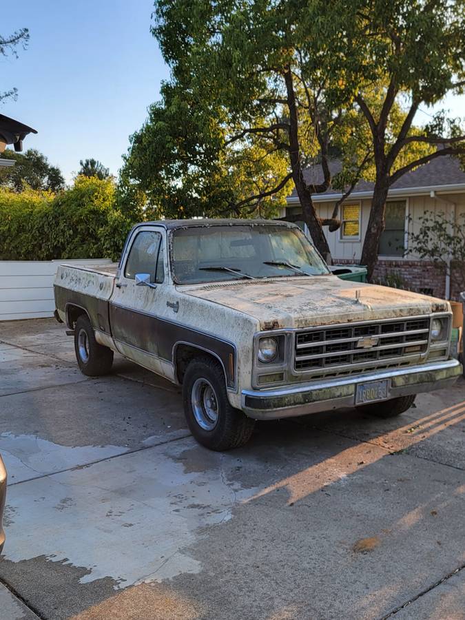 Chevrolet-C10-silverado-diesel-1979-brown