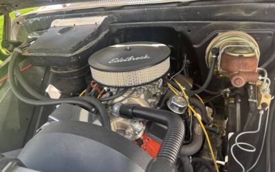 Chevrolet C10 truck  1965 grey