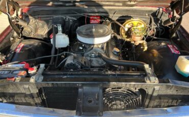 Chevrolet-C10-truck-1970-red-13