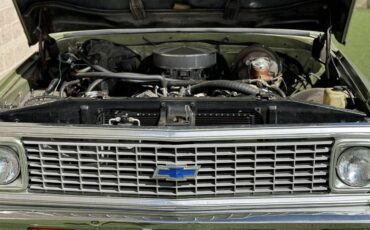 Chevrolet-C20-1972-green-11