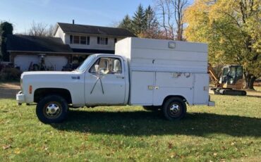 Chevrolet-C20-1980-white-2