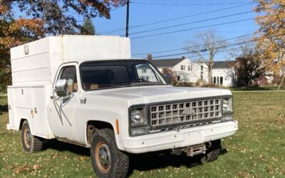 Chevrolet C20  1980 white
