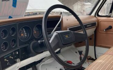 Chevrolet-C20-1980-white-6