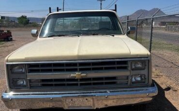 Chevrolet-C20-scottsdale-1985-brown-1