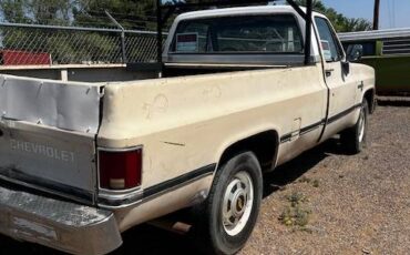 Chevrolet-C20-scottsdale-1985-brown-2