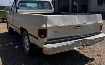 Chevrolet-C20-scottsdale-1985-brown-3