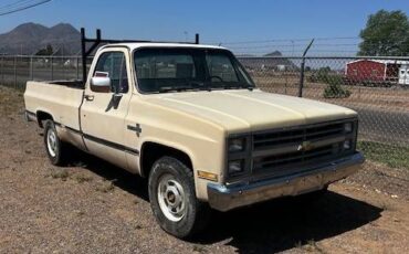 Chevrolet-C20-scottsdale-1985-brown