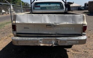 Chevrolet-C20-scottsdale-1985-brown-4