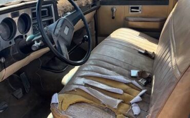 Chevrolet-C20-scottsdale-1985-brown-6