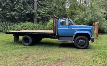 Chevrolet-CK-1977-3