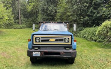 Chevrolet-CK-1977-4
