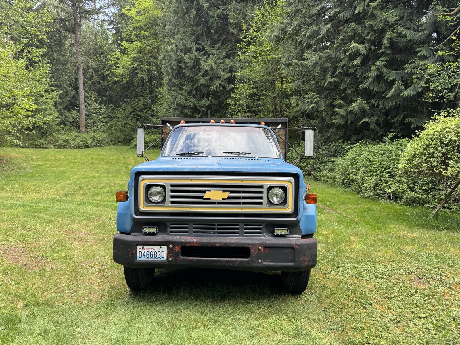 Chevrolet-CK-1977-4