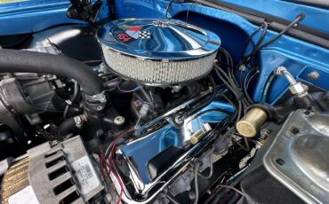 Chevrolet-CK-Pickup-1500-1971-19