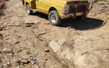 Chevrolet-CK-Pickup-1500-1971-Standard-Cab-Pickup-1
