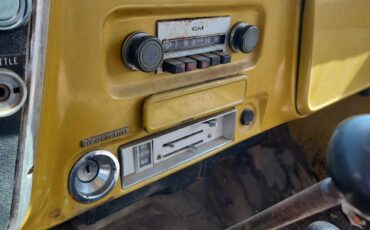 Chevrolet-CK-Pickup-1500-1971-Standard-Cab-Pickup-19