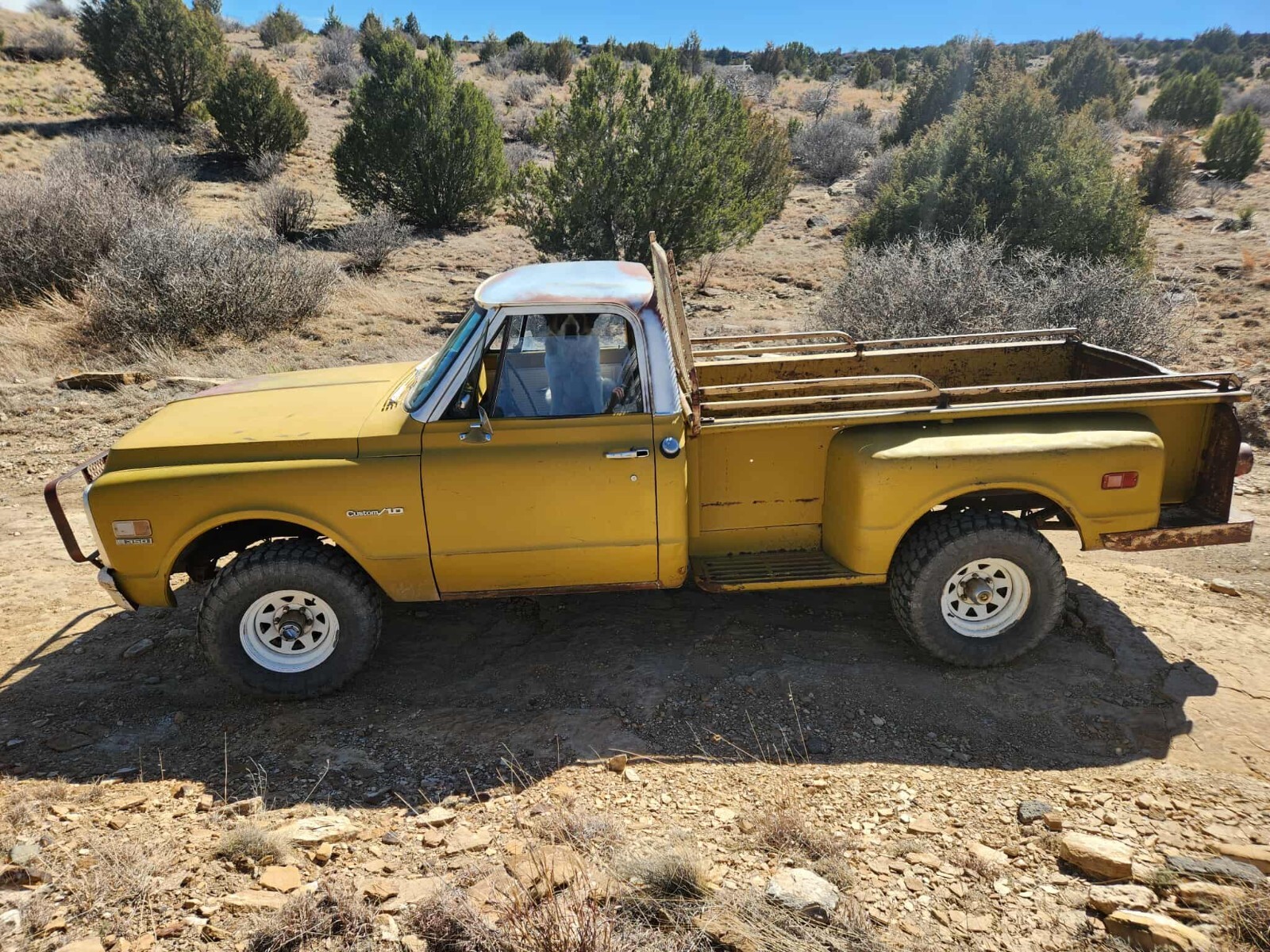 Chevrolet-CK-Pickup-1500-1971-Standard-Cab-Pickup-2