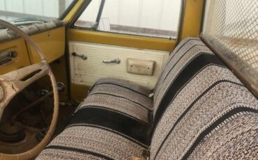 Chevrolet-CK-Pickup-1500-1971-Standard-Cab-Pickup-24