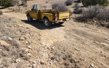Chevrolet-CK-Pickup-1500-1971-Standard-Cab-Pickup-3