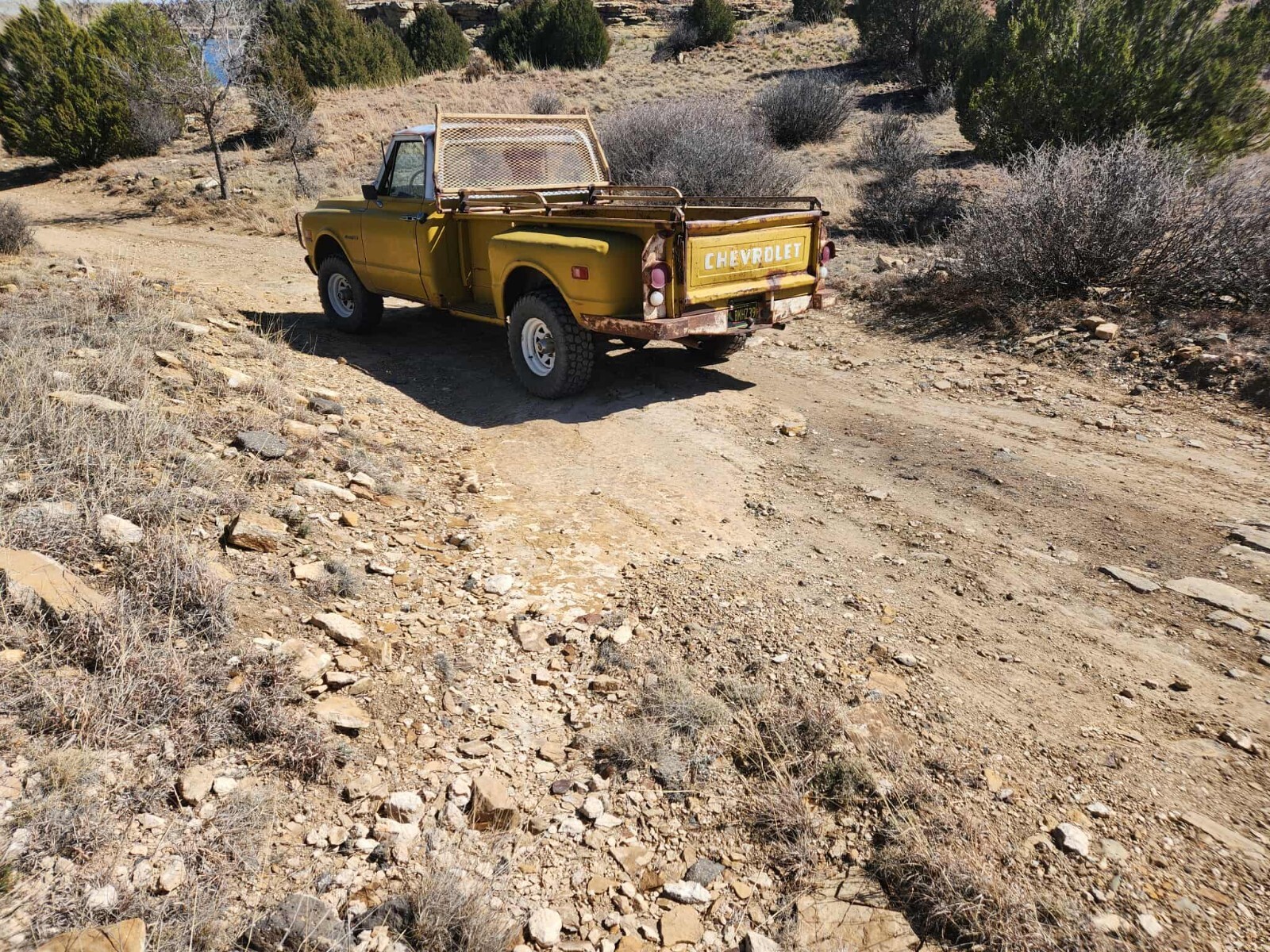 Chevrolet-CK-Pickup-1500-1971-Standard-Cab-Pickup-3