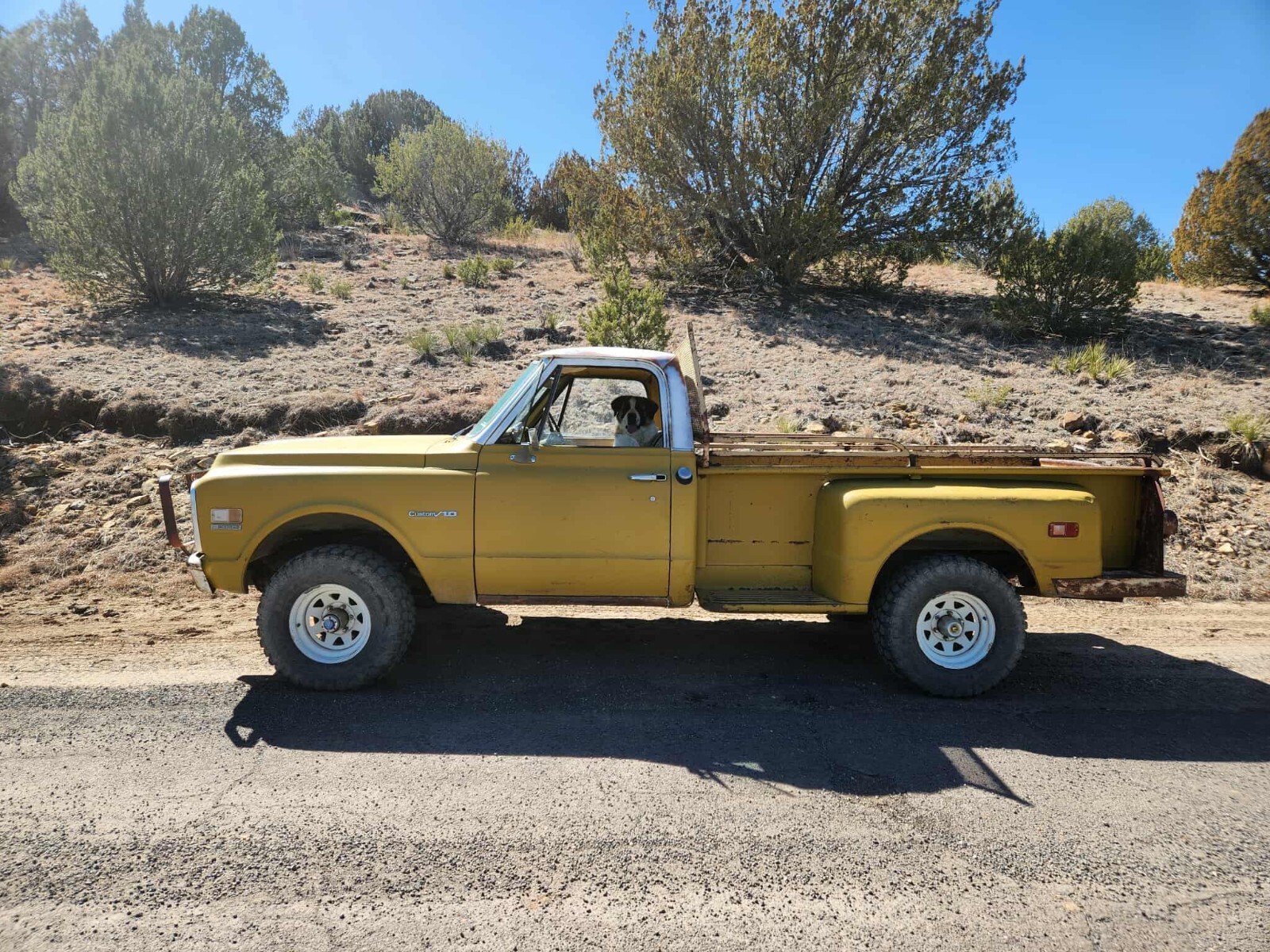 Chevrolet-CK-Pickup-1500-1971-Standard-Cab-Pickup-4