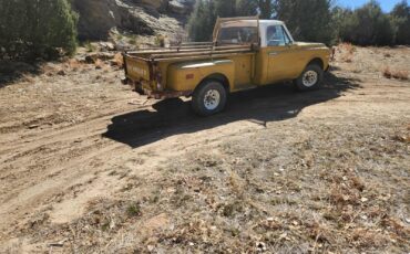 Chevrolet-CK-Pickup-1500-1971-Standard-Cab-Pickup-5