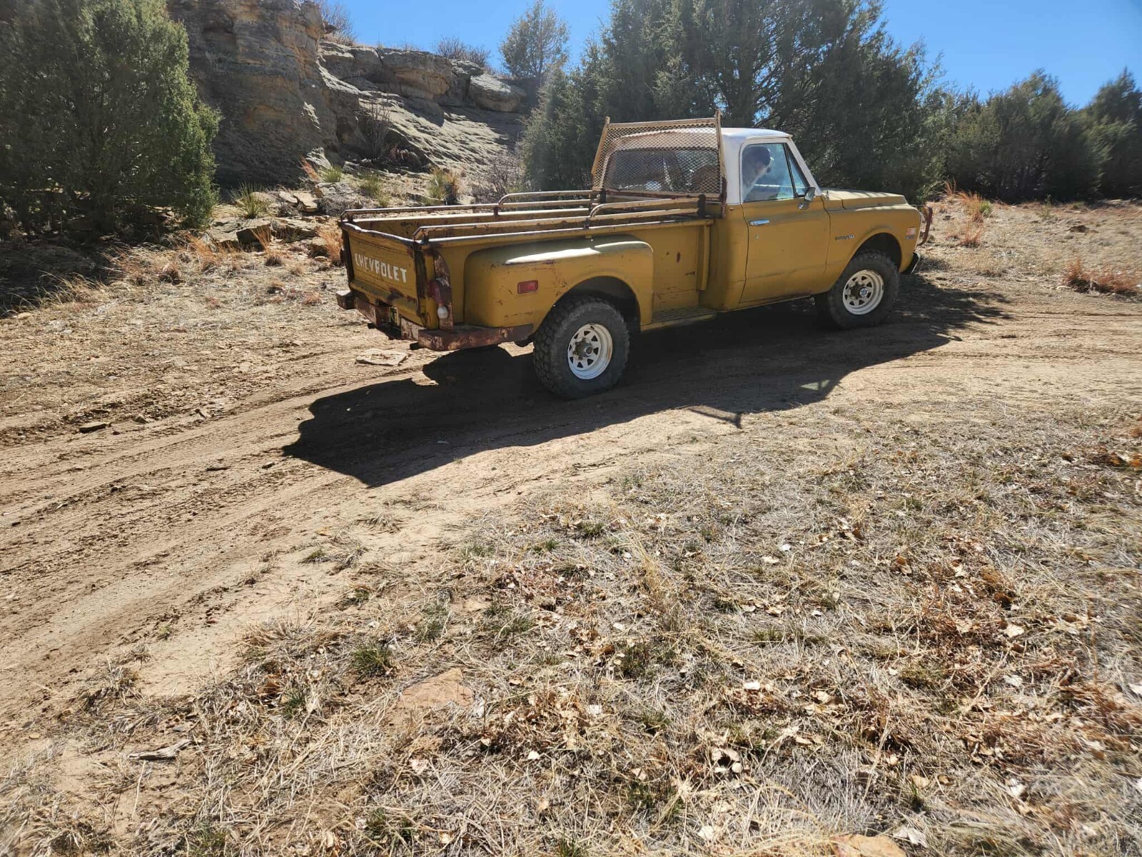 Chevrolet-CK-Pickup-1500-1971-Standard-Cab-Pickup-5