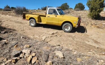 Chevrolet-CK-Pickup-1500-1971-Standard-Cab-Pickup-6