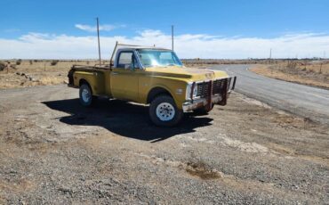 Chevrolet-CK-Pickup-1500-1971-Standard-Cab-Pickup-7