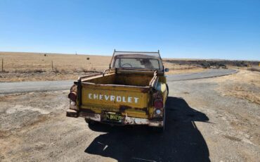 Chevrolet-CK-Pickup-1500-1971-Standard-Cab-Pickup-8
