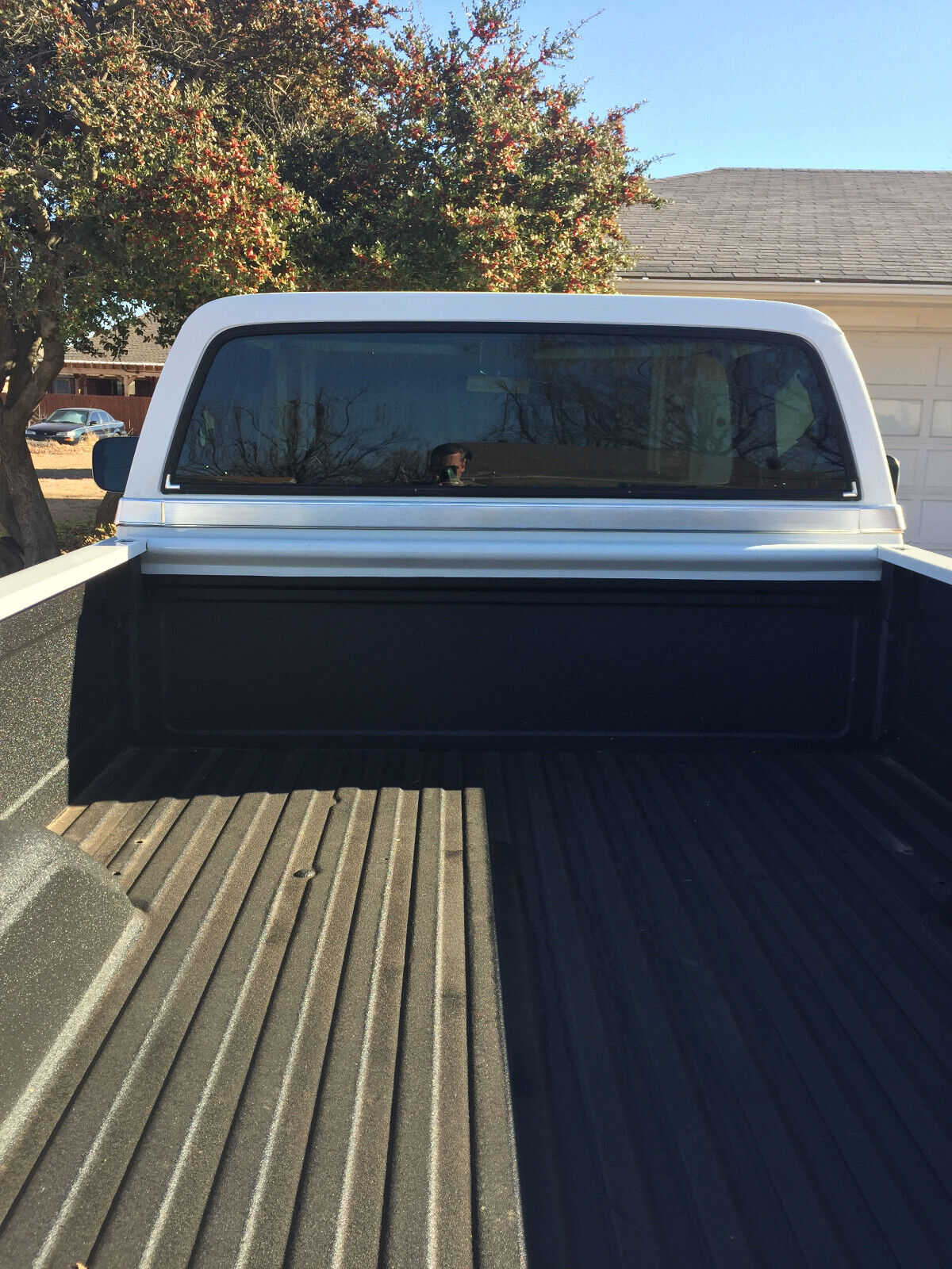 Chevrolet-CK-Pickup-1500-1982-Standard-Cab-Pickup-2