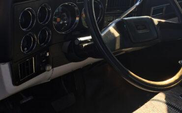 Chevrolet-CK-Pickup-1500-1982-Standard-Cab-Pickup-6