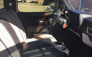 Chevrolet-CK-Pickup-1500-1982-Standard-Cab-Pickup-8