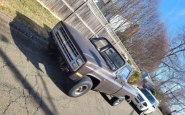 Chevrolet-CK-Pickup-1500-1986-6