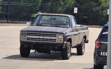 Chevrolet-CK-Pickup-1500-1986-7