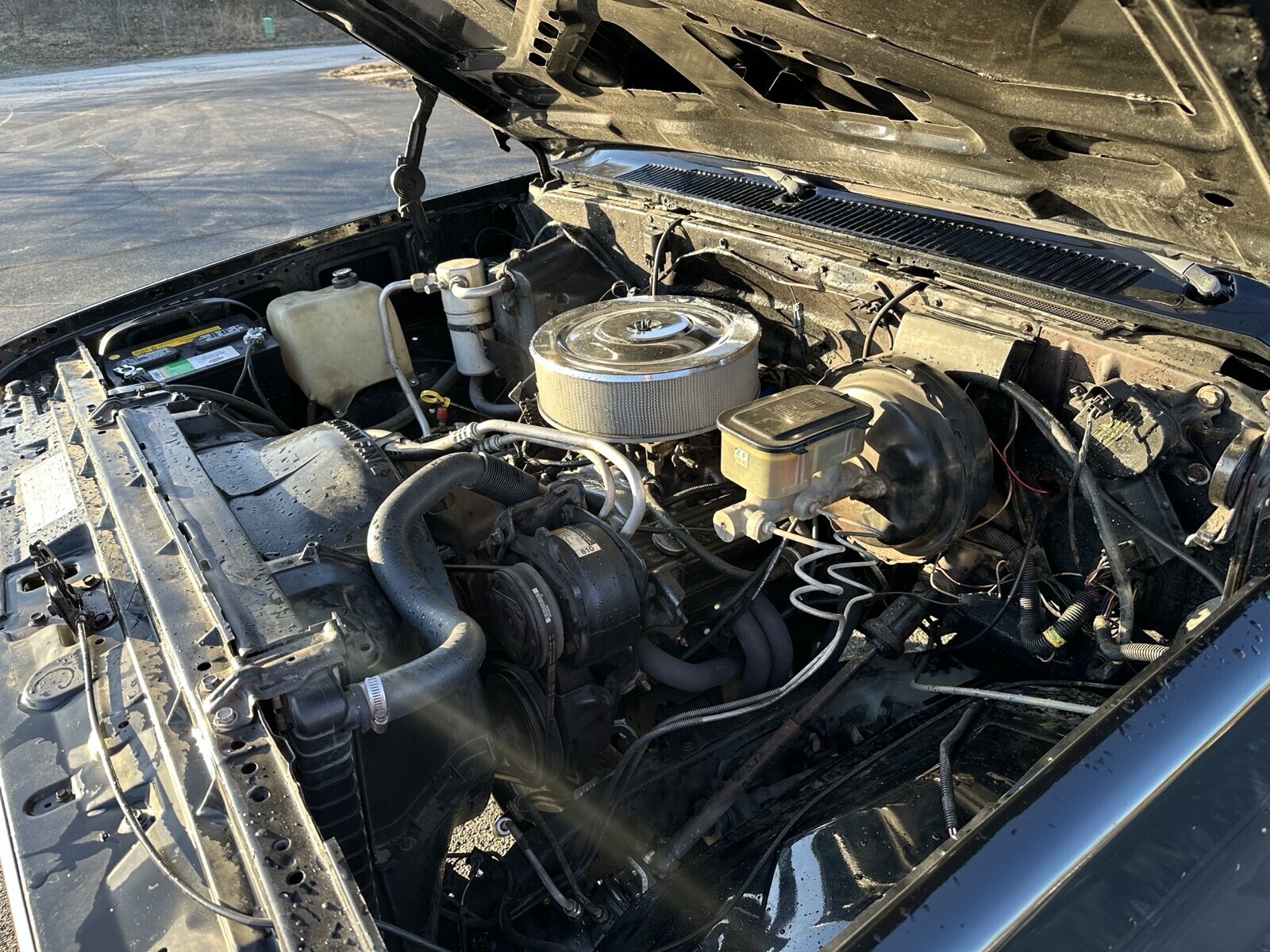 Chevrolet-CK-Pickup-1500-1987-12