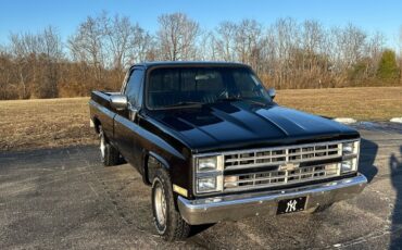 Chevrolet-CK-Pickup-1500-1987-2