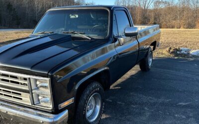 Chevrolet C/K Pickup 1500 1987