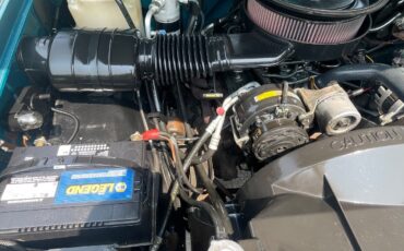 Chevrolet-CK-Pickup-1500-1993-Standard-Cab-Pickup-22