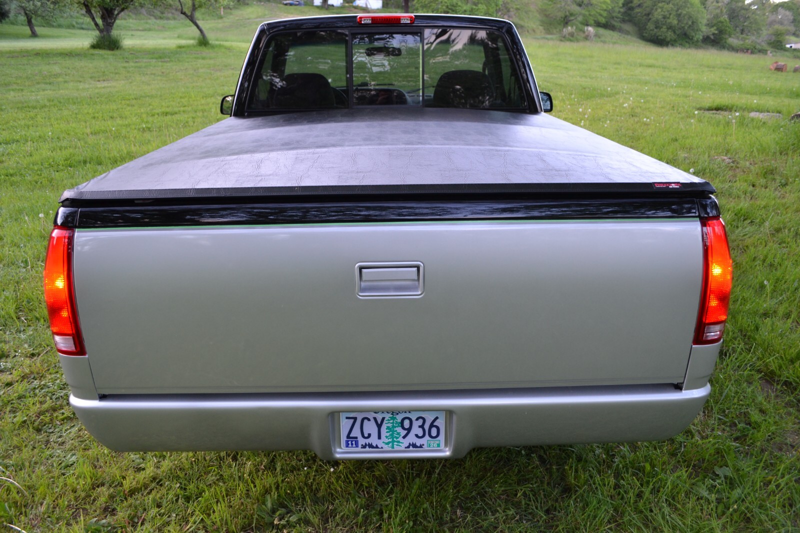 Chevrolet-CK-Pickup-1500-1995-Standard-Cab-Pickup-10
