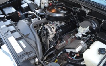 Chevrolet-CK-Pickup-1500-1995-Standard-Cab-Pickup-27