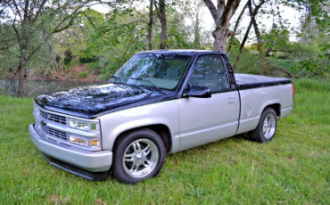Chevrolet-CK-Pickup-1500-1995-Standard-Cab-Pickup