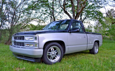 Chevrolet-CK-Pickup-1500-1995-Standard-Cab-Pickup-5