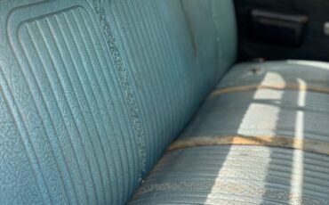 Chevrolet-CK-Pickup-2500-1969-18